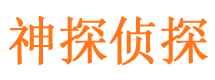 雁峰市私家侦探